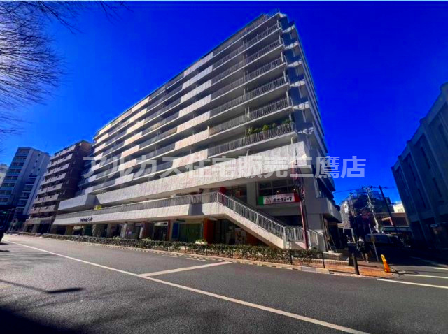 外観：313004503316