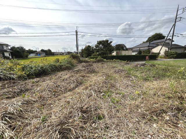 敷地内からの写真