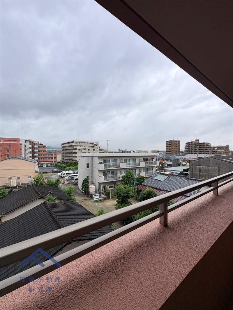 展望