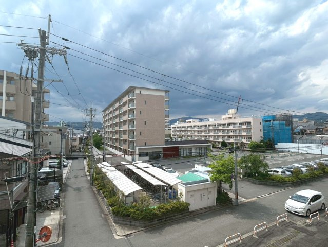 展望