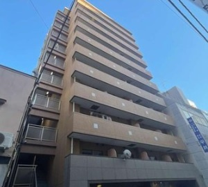 外観：313004818597