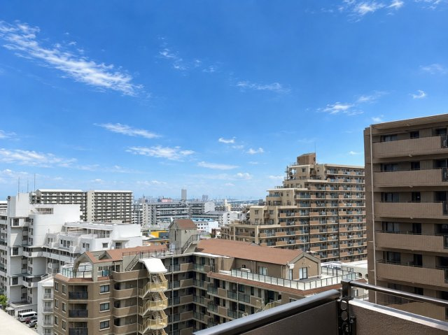 南東側眺望　2025年12月中旬撮影