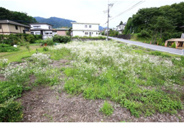 群馬県渋川市伊香保町伊香保 土地 の外観