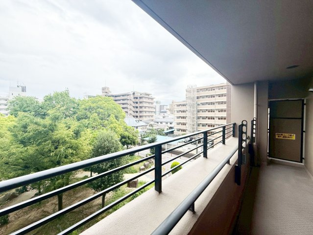 展望