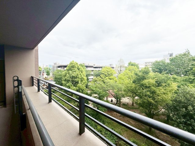 展望