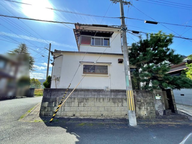 現地写真