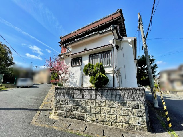 現地写真