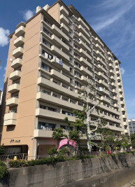 外観：313004856071