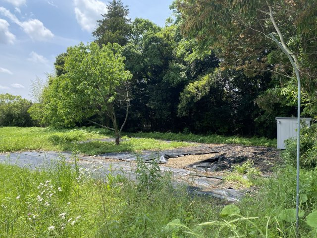 外観：312001055942