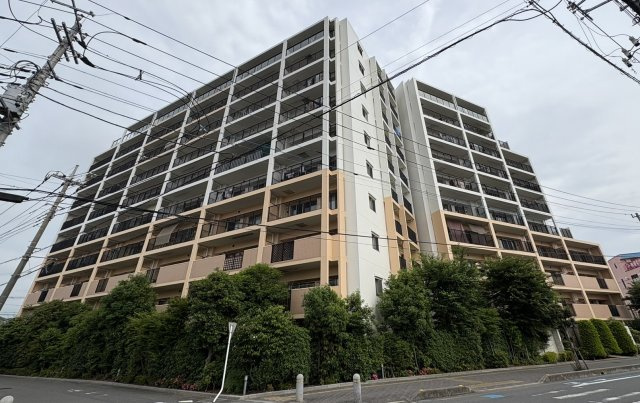 外観：311002305584