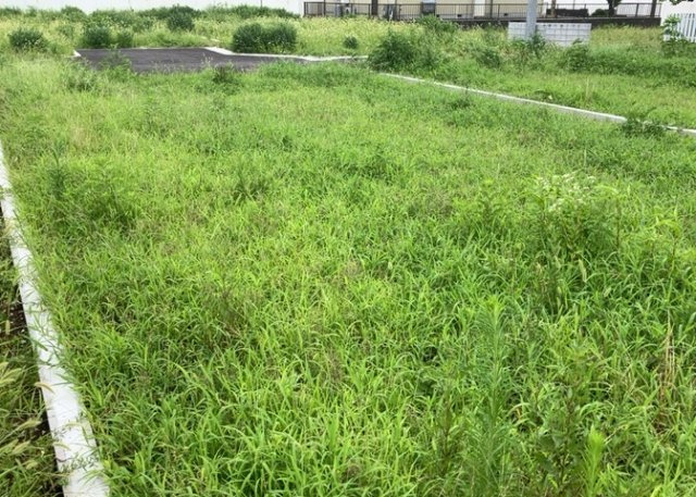 外観：314002344378