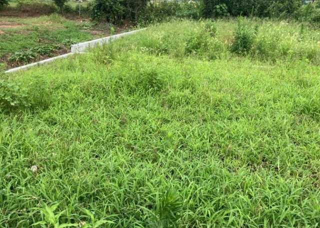 隣家の土地はどうなっているのか、生活利便施設が近くにあるのか、学校まで近いかなど、お客様のライフスタイルにあわせたイメージが重要です。また、近くにあると困る施設が近くにないかも確認するといいでしょう。