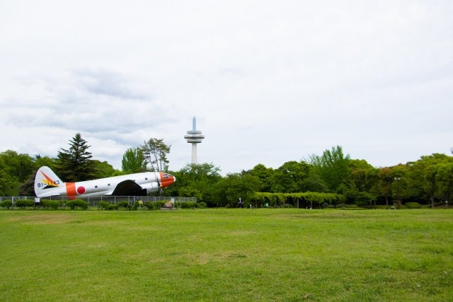《所沢航空公園》お子様がのびのび遊べる大型公園　四季折々の景色も楽しめます♪　ドッグランもございます♪　