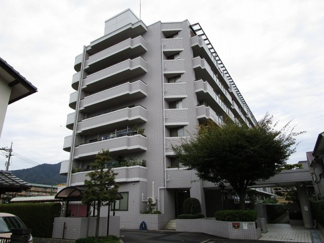 外観：334000238293