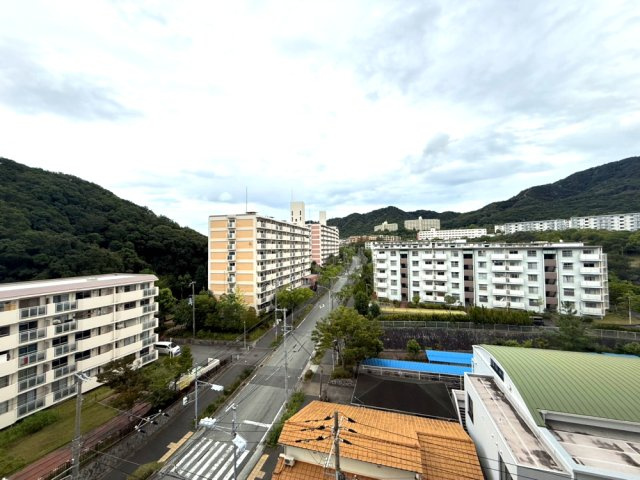 展望