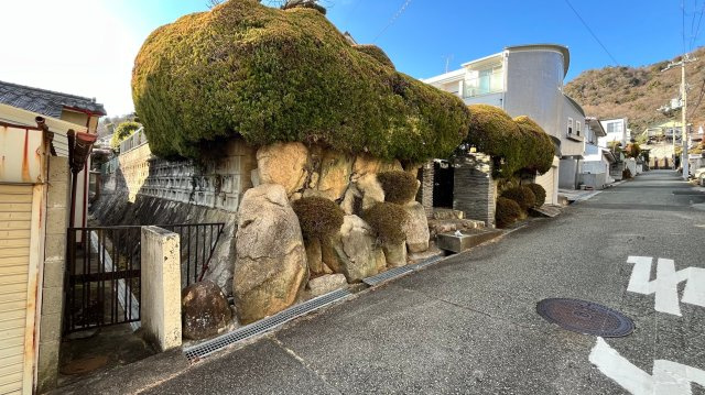 外観：327002173433