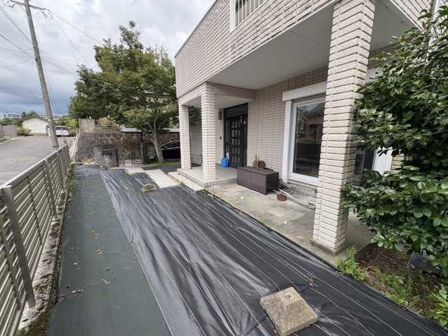 庭