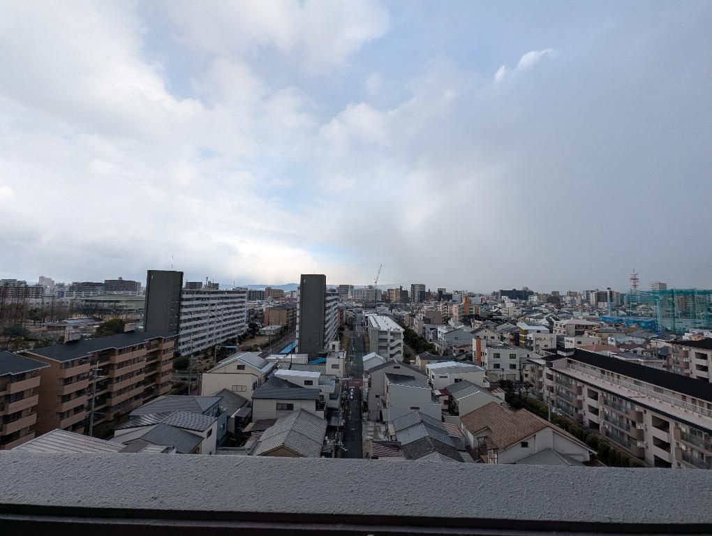 展望