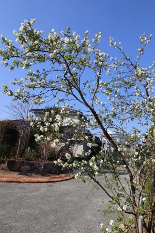 季節の移ろいを感じる魅力的な庭です♪