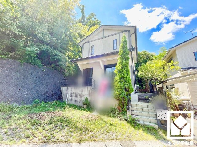 外観：326000160919