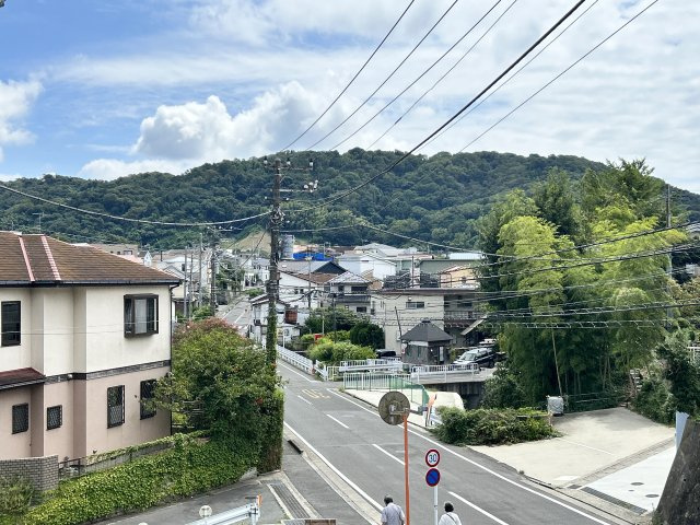 展望