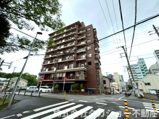 外観もきれいです