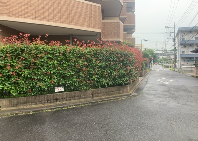 物件によっては、入居者が個人的に使用できる専用庭がついているものもあります。また、住宅の中にある土間の部分を庭と呼ぶこともあります。庭の用途は住む人によって変わり、それによってデザインもさまざまです。