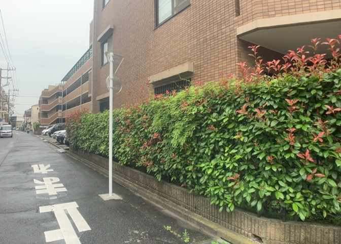中庭（パティオ）とは、一つの建築物の内部に設けられた、壁などで囲われている庭のことを指します。コの字型、ロの字型が主流ですが、L字型の中庭もあります。最近では、インテリア性の高さからも人気があります。