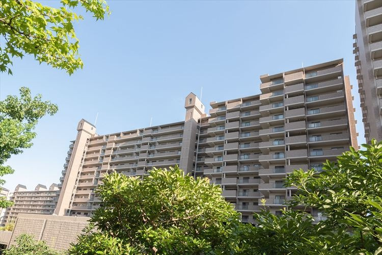 外観：328000542153