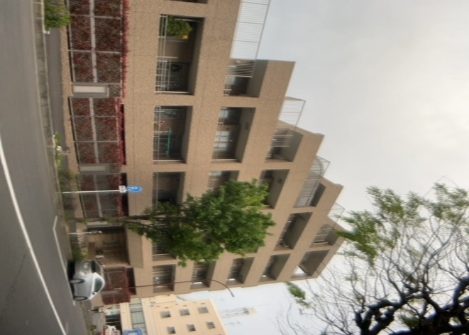 外観：313004701865