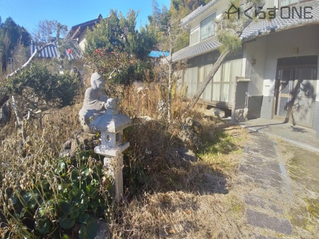 庭