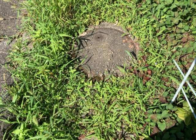 敷地内に散水栓や立水栓があると便利です。水道水を直接利用できるため、水を運ぶ手間を省くことが出来ます。大量の水を必要とする洗車作業や清掃などに役立ちます。その他設備とあわせて、現地でご確認ください。