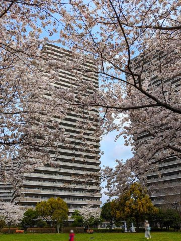 外観：314002684539