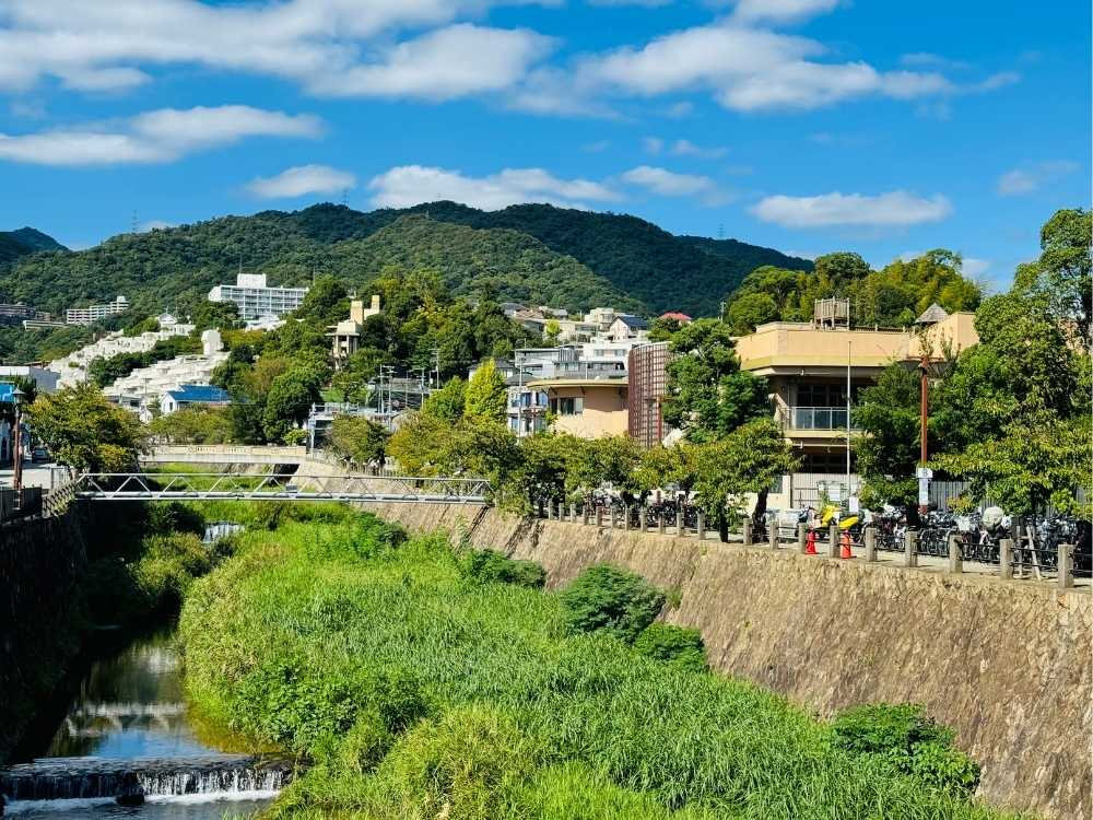 四季折々の彩りを見せる芦屋川。昼は澄んだ空と豊かな緑に癒やされ、夜は静寂の中に美しい街の灯りが広がります。散策やジョギングも心地よく、豊かな時間が流れる憩いの場所です。