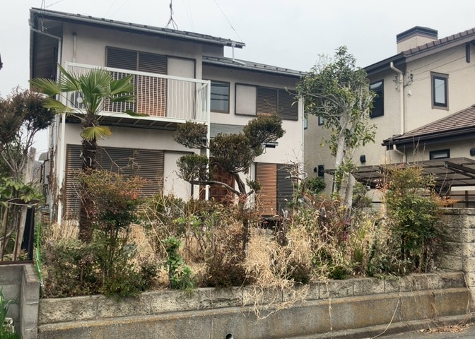 外観：313004646254