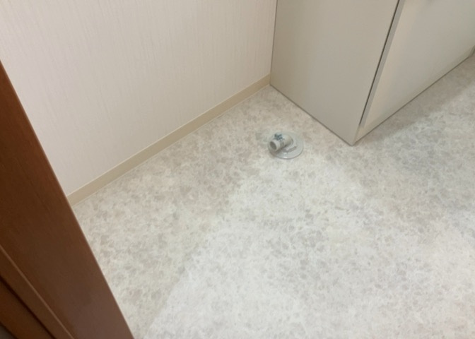 ランドリースペースも気になります。洗濯機置場があり「洗う、干す、取り込む、アイロンがけ、たたむ」など、洗濯に関する家事をするための空間です。広さや収納など付帯設備も含めて、詳細は現地でご確認ください。