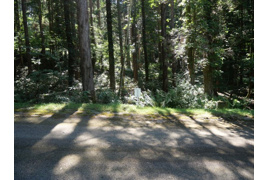 荘川ビレッジ⑪の外観