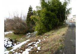 黒石黒石売地の外観