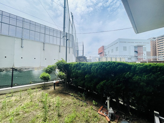 展望