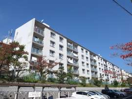 外観：328000623119