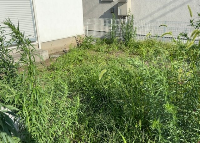 庭があることでガーデニングや家庭菜園はもちろん、こどもの遊び場やペットを放して遊ぶことができます。また、家の周囲に余裕があるということです。隣地との間があれば、十分な日当たりと、風通しが確保できます。