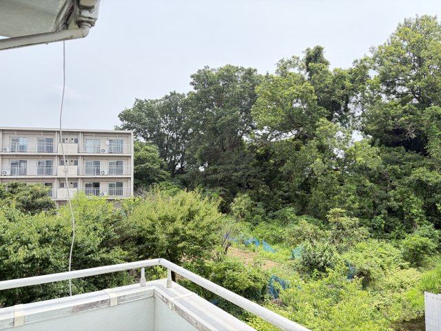 展望