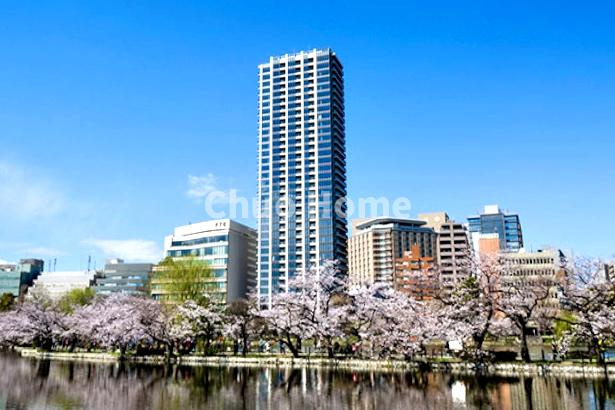 外観：313004634687