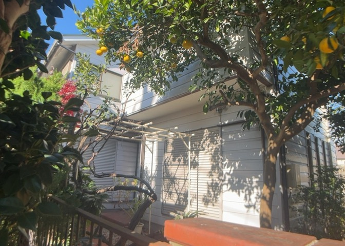 外観：314002536449