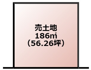 外観：325000120649