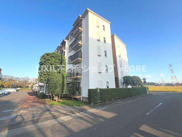 外観：314002469762