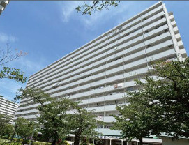 外観：313004645832