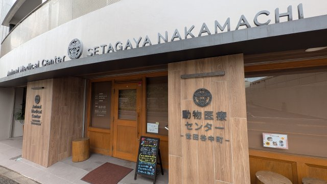 動物医療センター世田谷中町　徒歩2分
