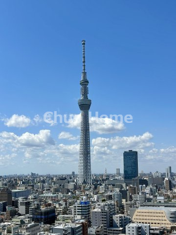 スカイツリーを一望