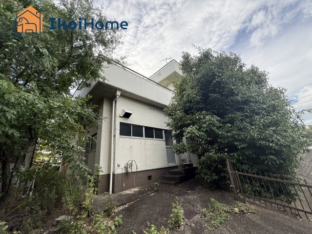 外観：328000529213